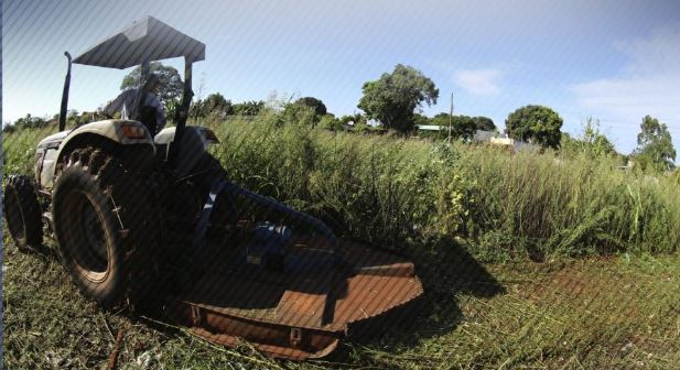 Colina orienta  população sobre obrigatoriedade da limpeza de terrenos