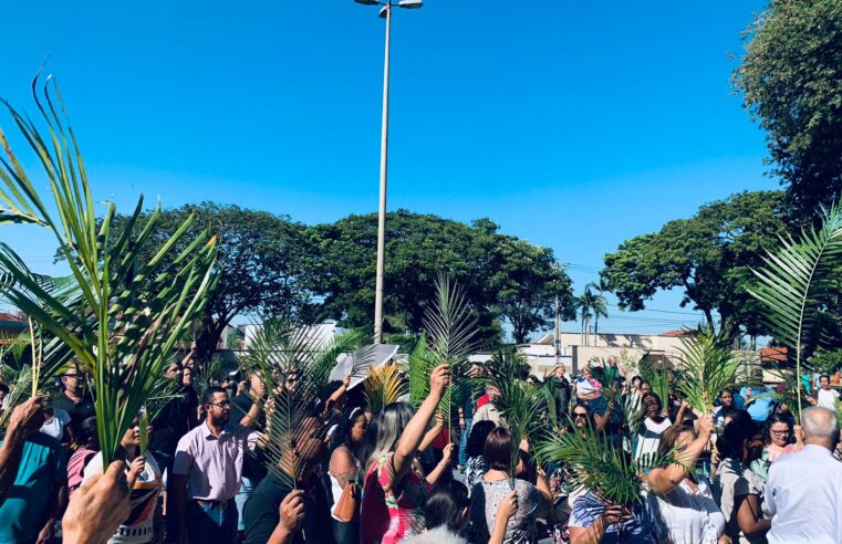 Paróquias celebram Domingo de Ramos