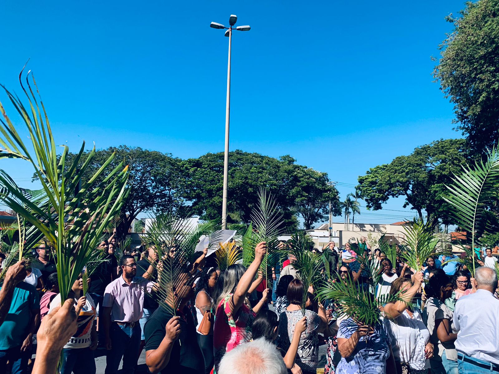 Paróquias celebram Domingo de Ramos