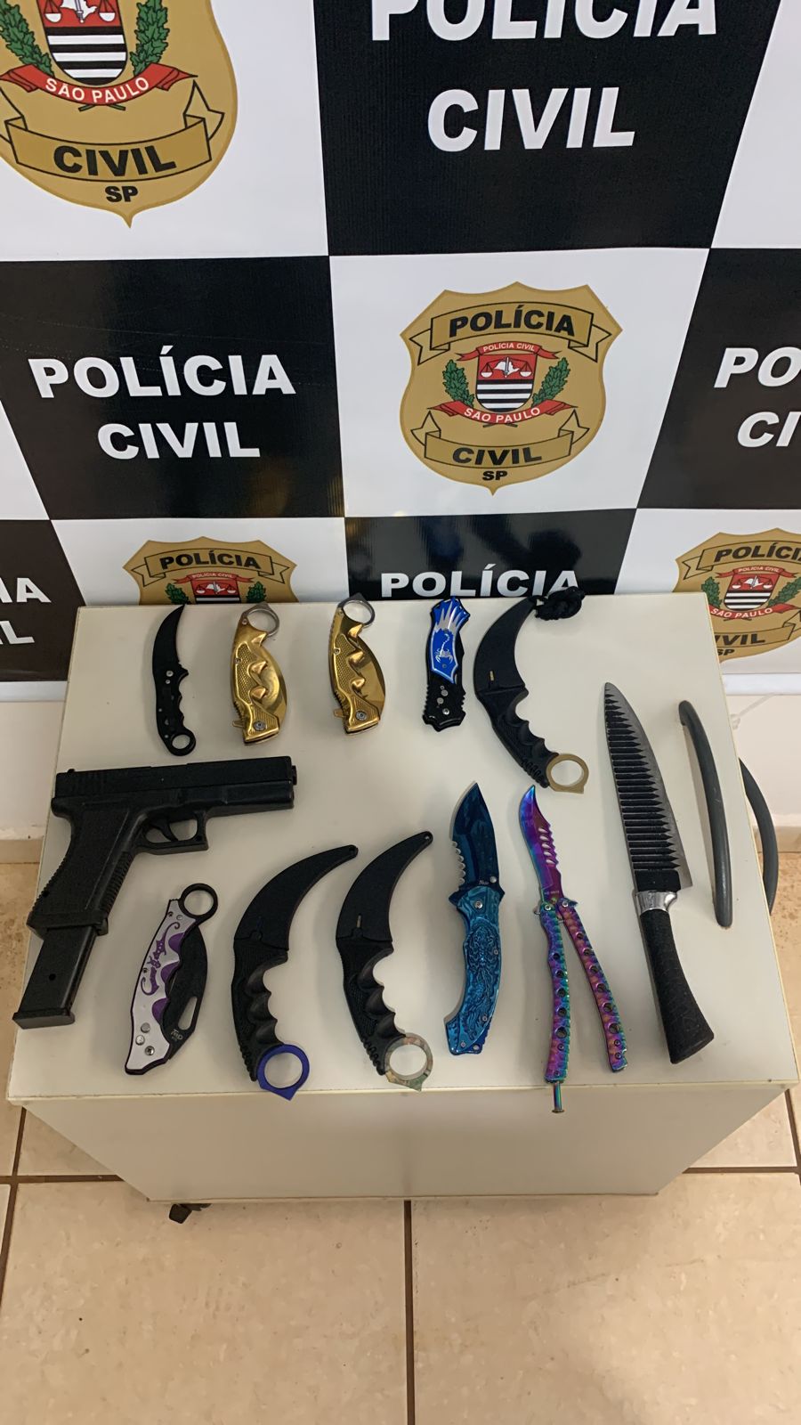 Policia Civil realiza cumprimento de busca e apreensão em investigação sobre ameaças de ataques a escola em Colina