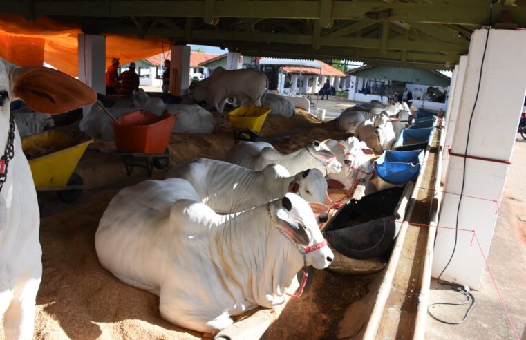 Expo Barretos tem várias atrações neste domingo