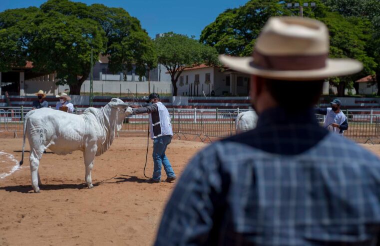 Barretos sedia 1º Expotech Agropec, no próximo dia 20, com painéis temáticos e abertos ao público