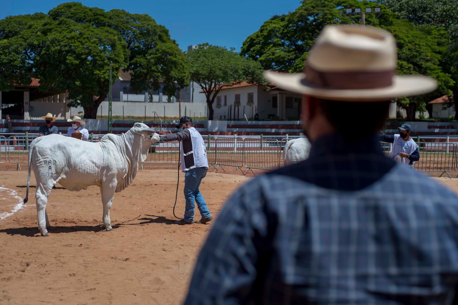 Barretos sedia 1º Expotech Agropec, no próximo dia 20, com painéis temáticos e abertos ao público