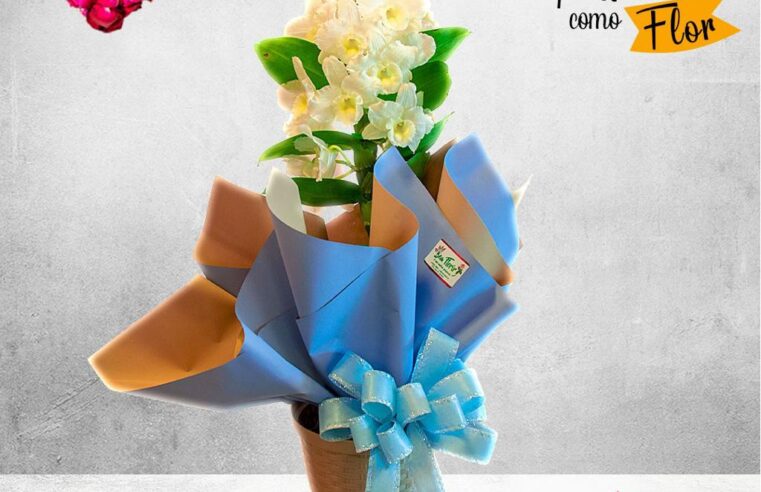 Floricultura Bem Florir aberta neste Dia das Mães