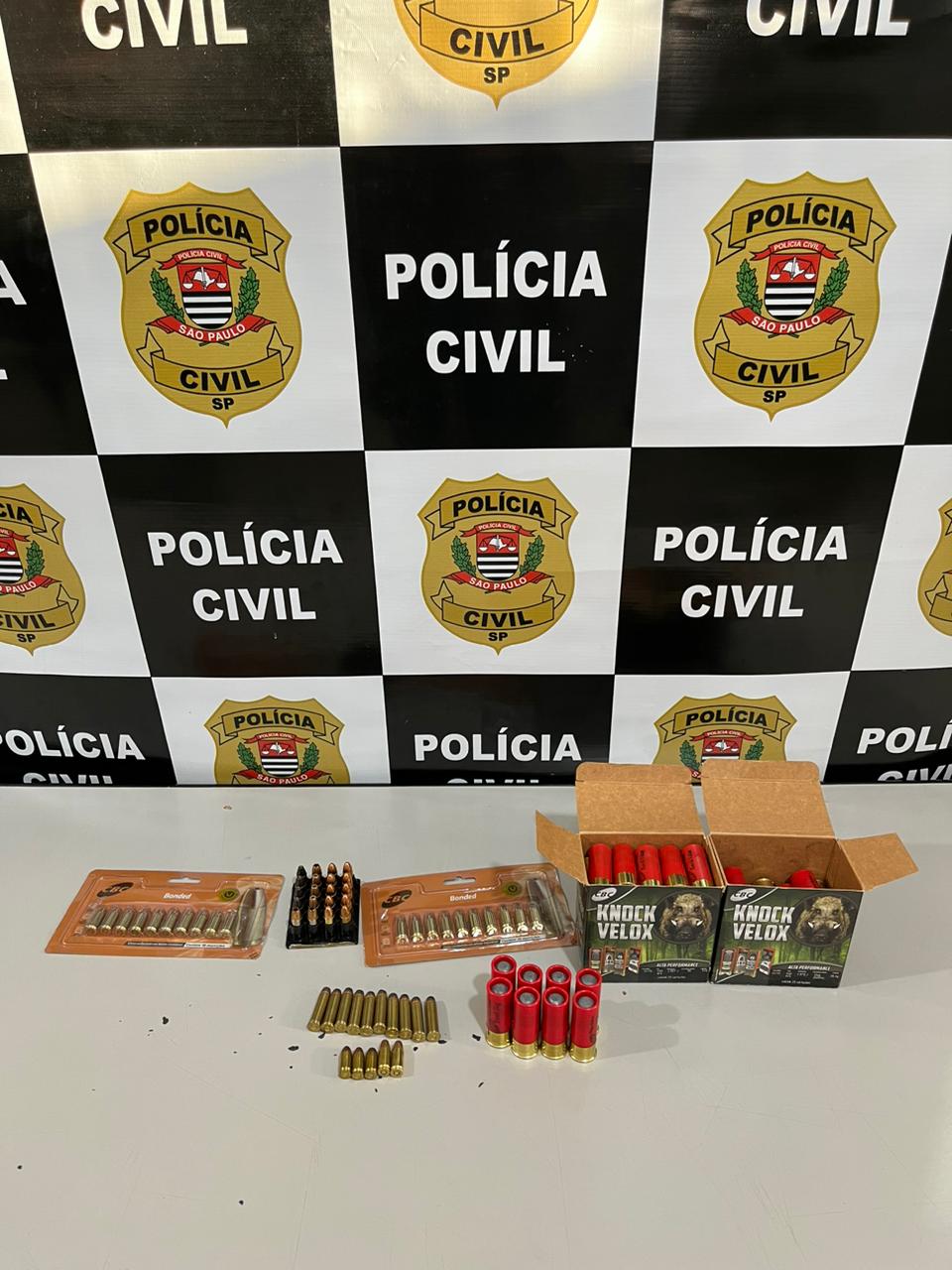 Polícia Civil realizou cumprimento de mandado de busca e apreensão de violência doméstica