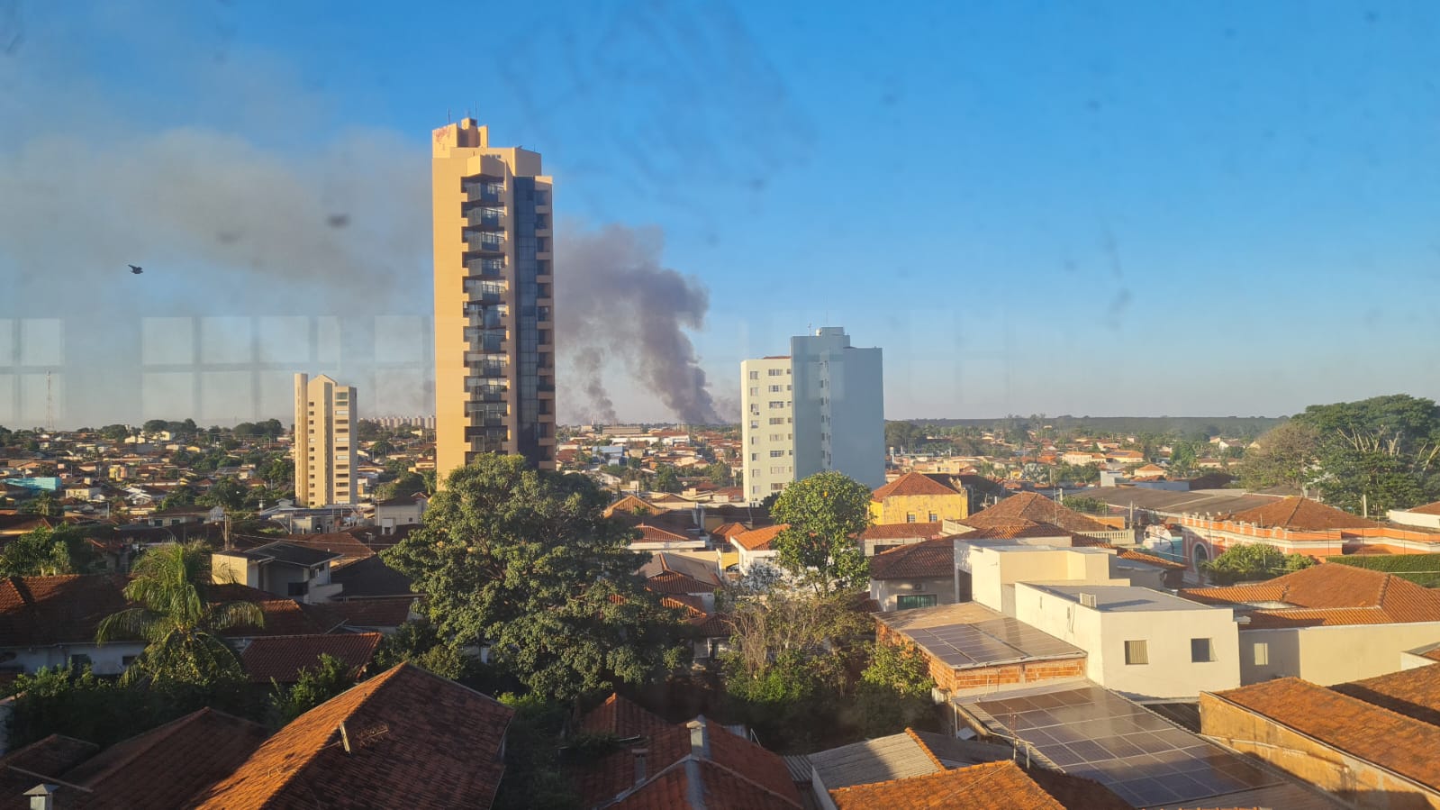 Incêndio atinge área de canavial nos fundos do bairro Mais Parque