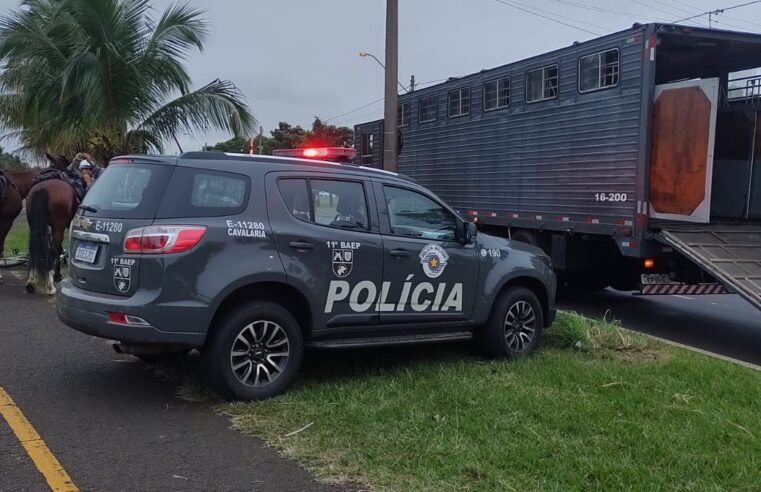 Autor de homicídio na capital é capturado pela Cavalaria