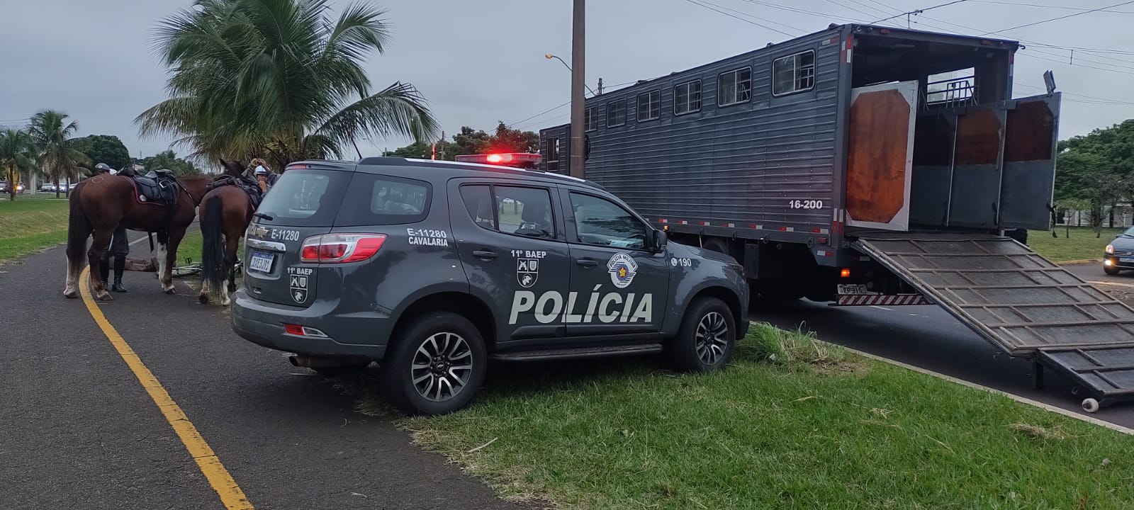 Autor de homicídio na capital é capturado pela Cavalaria