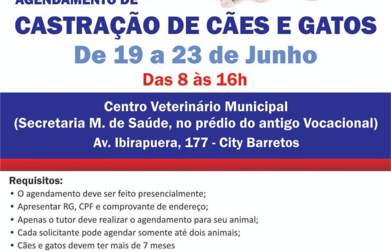 Prefeitura inicia novo período de agendamento para castração de cães e gatos nesta segunda-feira (19)