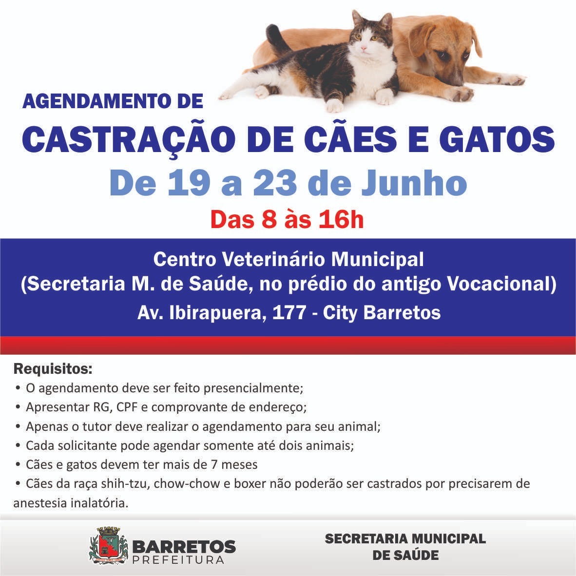 Prefeitura inicia novo período de agendamento para castração de cães e gatos nesta segunda-feira (19)