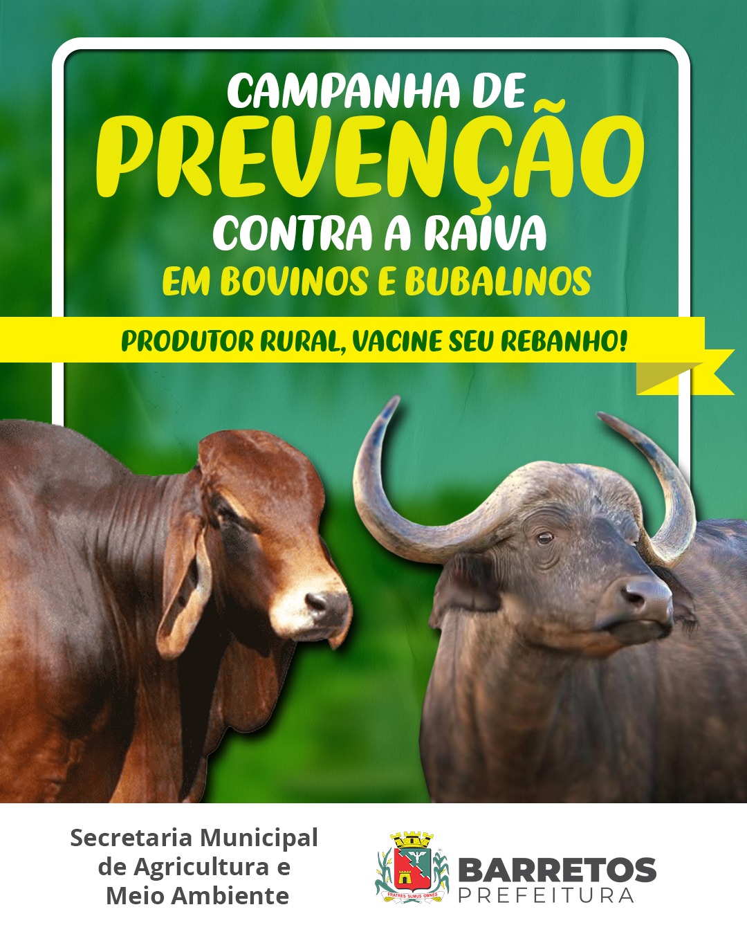 Secretaria Municipal de Agricultura e Meio Ambiente reforça a importância de proprietários vacinarem bovinos e bubalinos contra a raiva