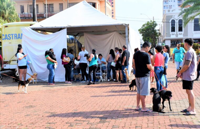 Olímpia castra cerca de 200 animais entre cães e gatos no 1º Mutirão de Castração gratuito