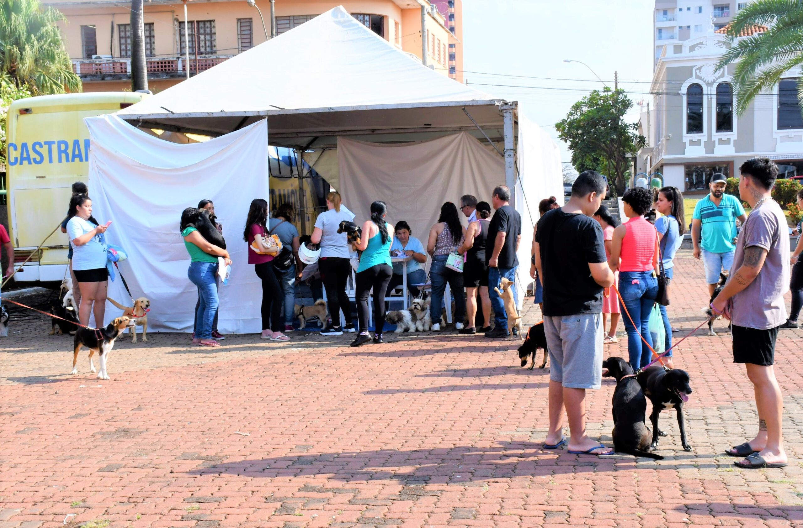 Olímpia castra cerca de 200 animais entre cães e gatos no 1º Mutirão de Castração gratuito