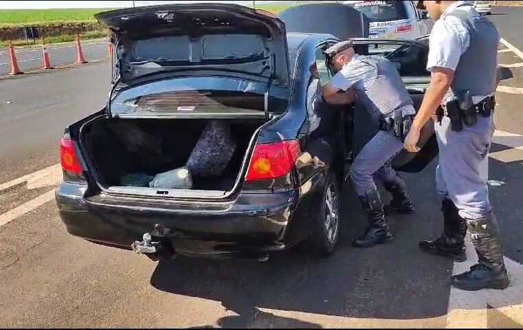 Policiamento Rodoviário prende motorista  por tráfico de droga