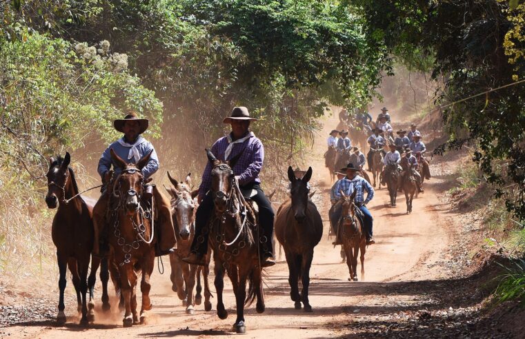 Comitiva de muladeiros percorre 180 km até Barretos