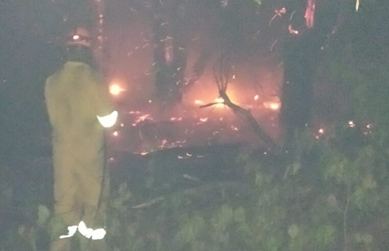 Fogo atinge área de vegetação no Jardim Caiçara