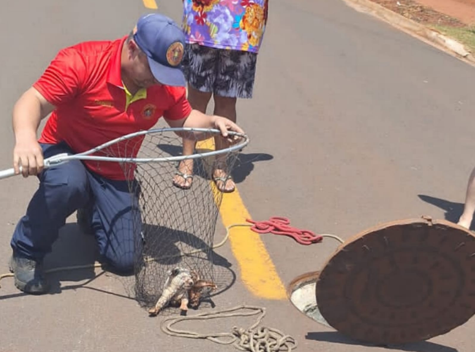 Defesa Civil resgata filhote de cão no Vida Nova