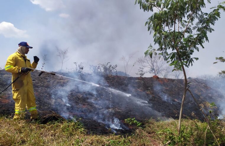 Incêndio atingiu área de Estação de Tratamento de Esgoto