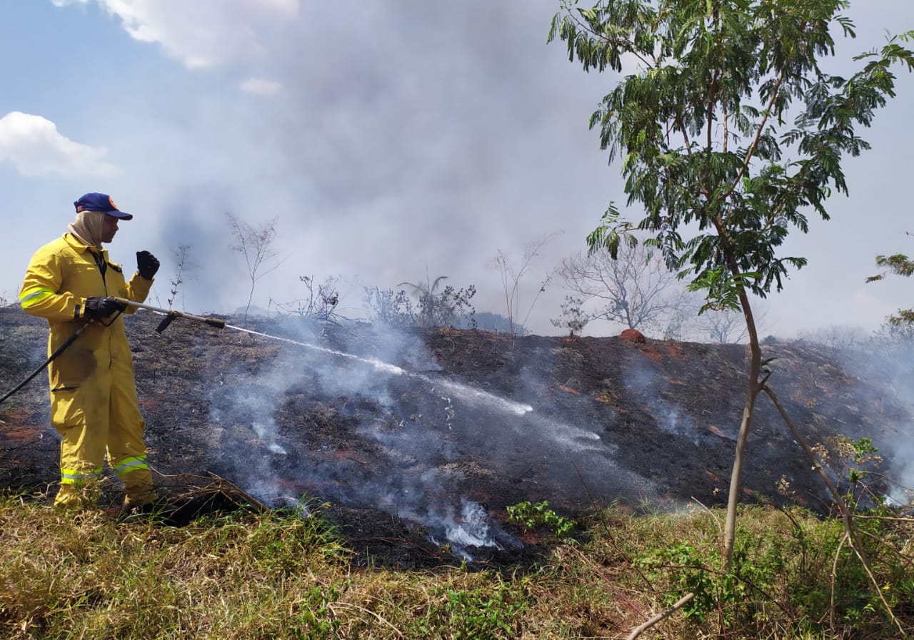 Incêndio atingiu área de Estação de Tratamento de Esgoto