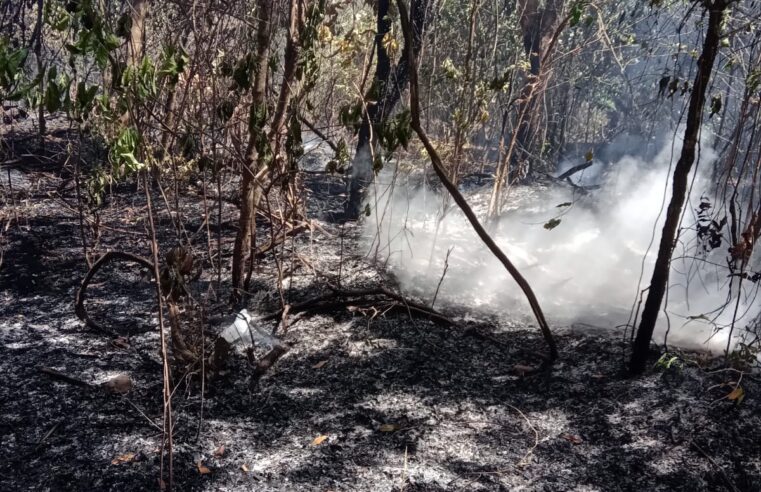 Defesa Civil combateu dois incêndios no perímetro urbano nas últimas 24h