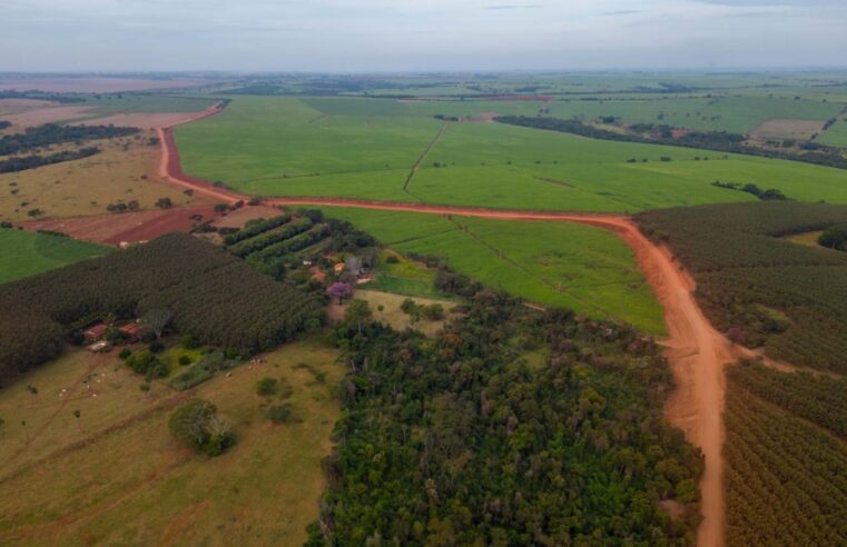 Prazo de Declaração do Imposto Territorial Rural (ITR) termina nesta sexta (29)