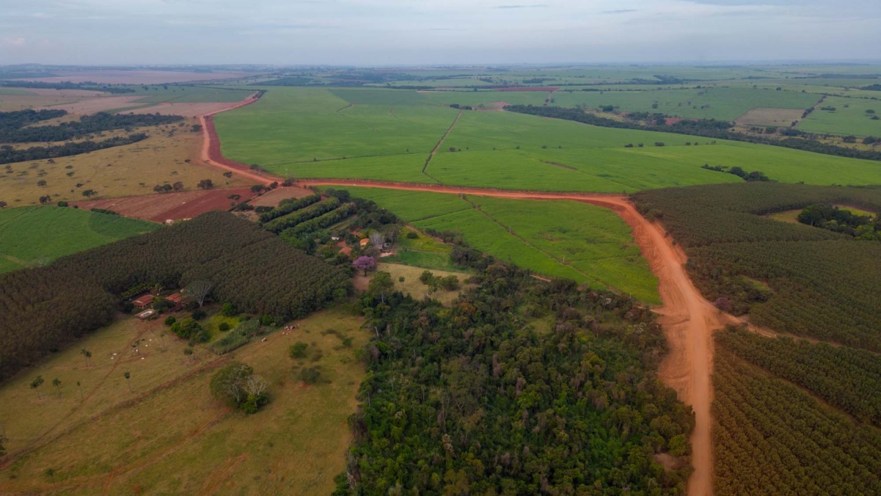 Prazo de Declaração do Imposto Territorial Rural (ITR) termina nesta sexta (29)