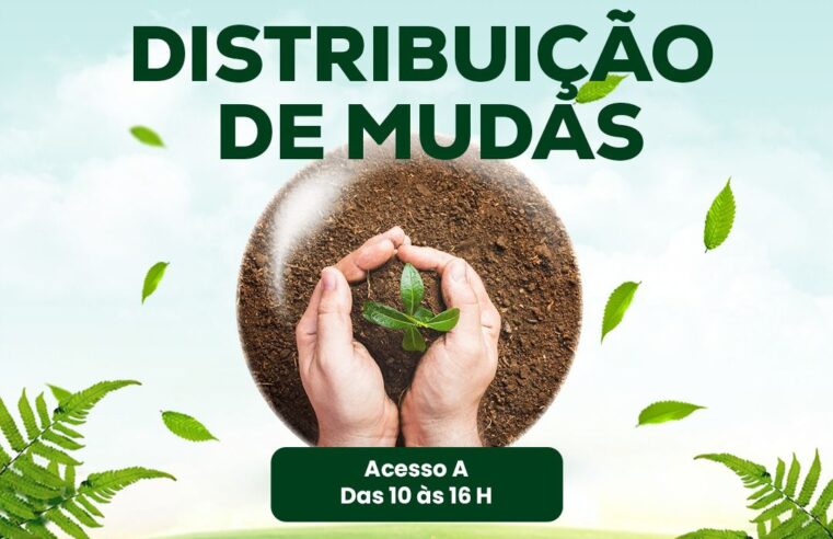 Dia da Árvore será celebrado com distribuição de mudas no North Shopping Barretos