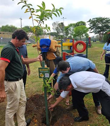 Prefeitura de Bebedouro com apoio da TEBE realizam plantio de árvores