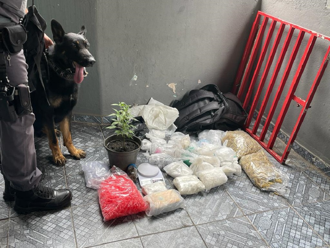 Com auxilio de cães do 5º BAEP, PM apreende mais de 870 porções de maconha no Rio Pequeno