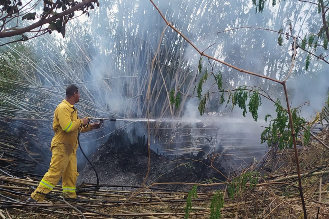 Defesa Civil combate incêndio em vegetação no Caiçara