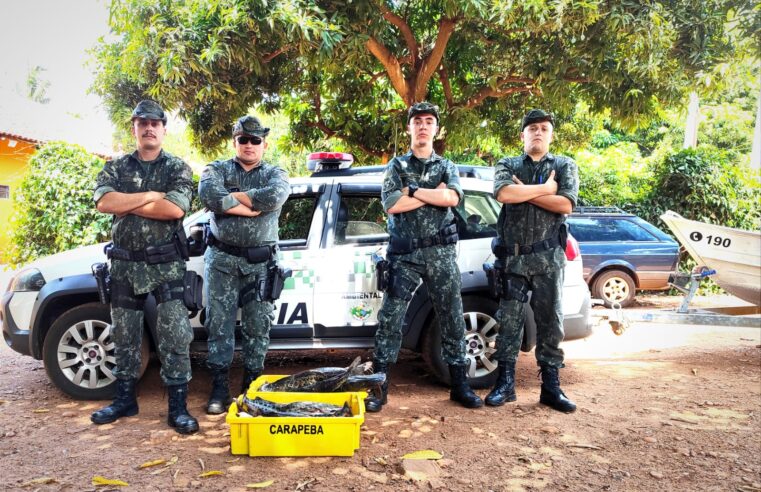 Colômbia: pescador é flagrado com 41 kg de pintado no Rio Grande