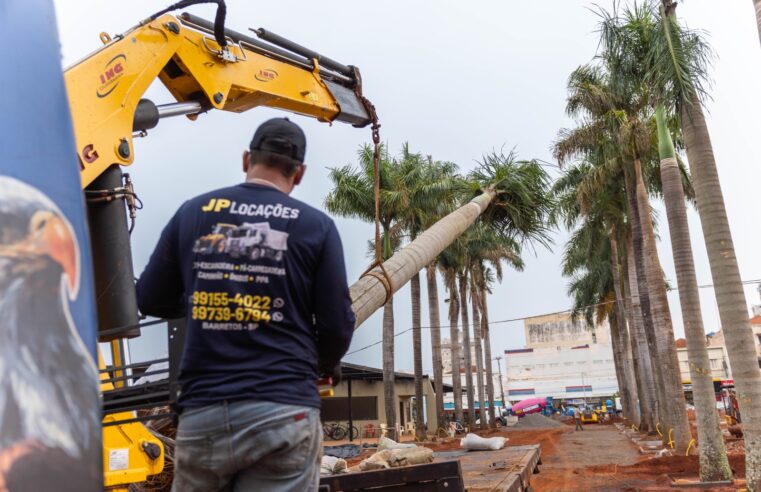 Praça Francisco Barreto começa a receber novo projeto paisagístico