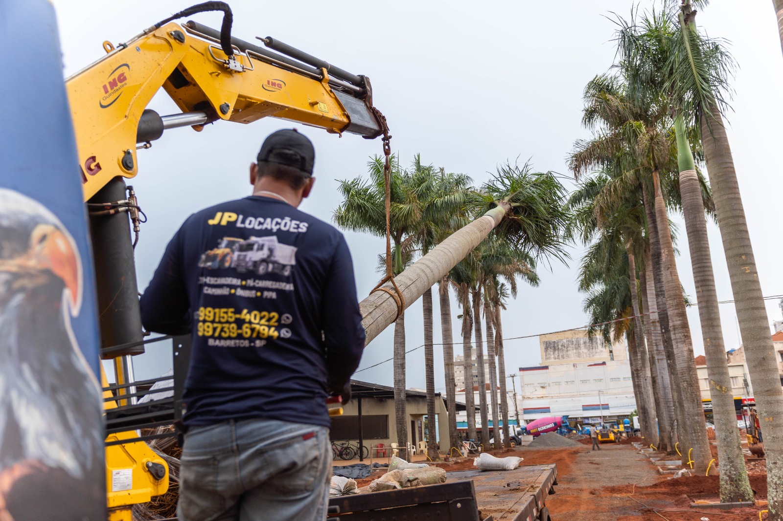 Praça Francisco Barreto começa a receber novo projeto paisagístico