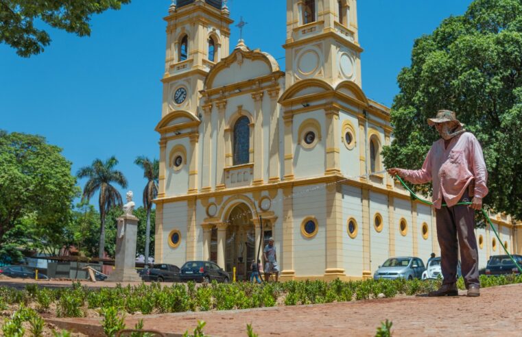 Iniciado o plantio de 45 mil mudas na Praça Francisco Barreto