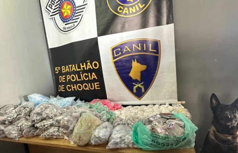 Cão policial ajuda PM a encontrar 12,7 mil porções drogas escondidas em caixas de isopor na ZN