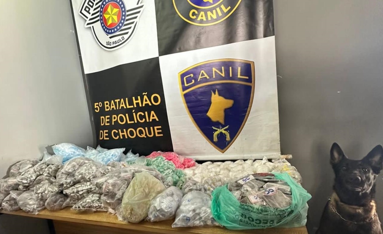 Cão policial ajuda PM a encontrar 12,7 mil porções drogas escondidas em caixas de isopor na ZN