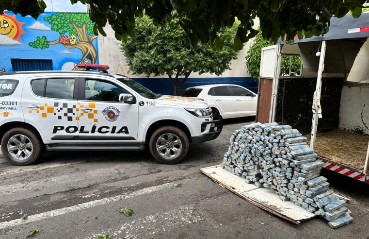 Casal é preso com 300 kg de drogas sendo transportando em trailler de transporte animal