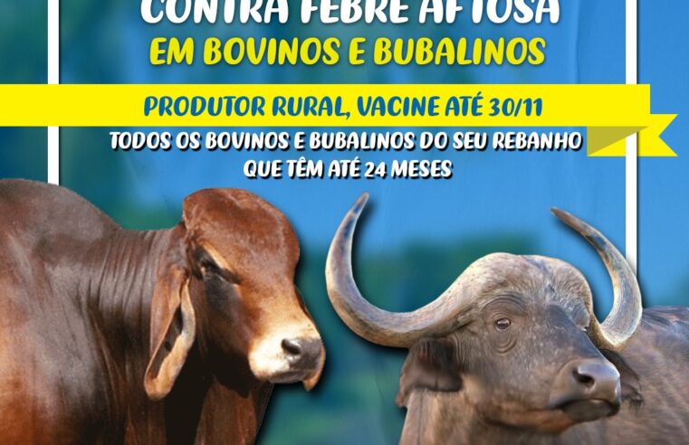 Prazo para produtor vacinar rebanho contra febre aftosa termina na próxima quinta-feira, dia 30