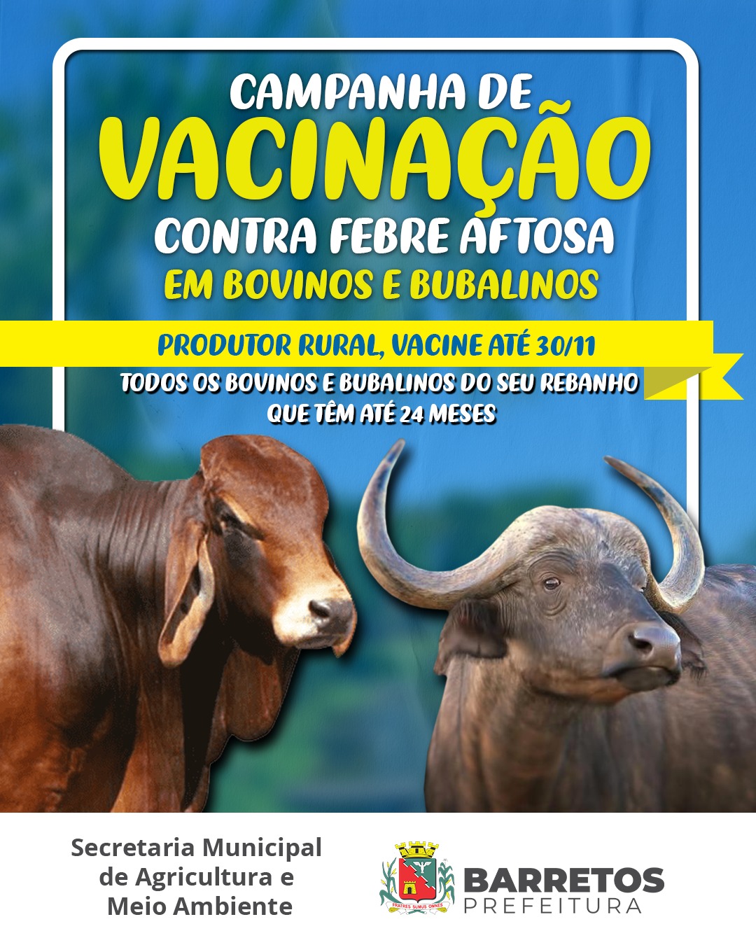 Prazo para produtor vacinar rebanho contra febre aftosa termina na próxima quinta-feira, dia 30