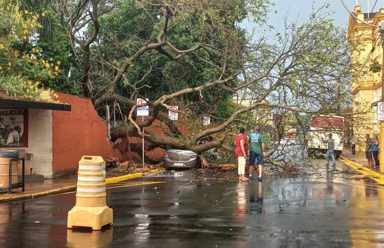 Árvore de grande porte atinge veículo no centro de Barretos