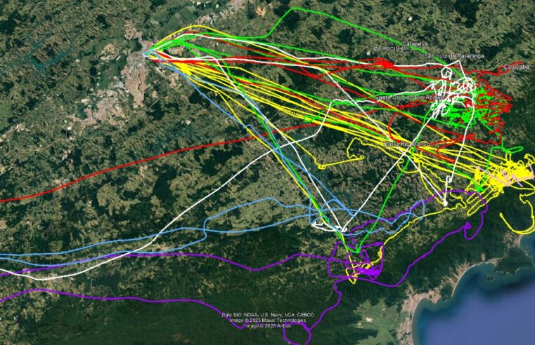 PM chega a 50 horas de voo em buscas por helicóptero que desapareceu em SP