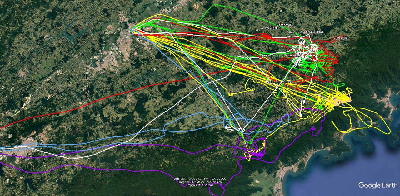 PM chega a 50 horas de voo em buscas por helicóptero que desapareceu em SP