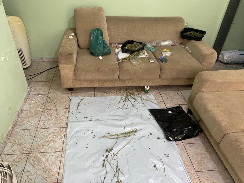 BAEP prende dupla e localiza estufa para cultivo de maconha na zona leste da capital