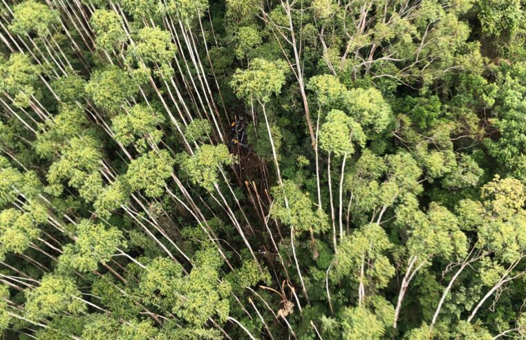 PM localiza helicóptero que desapareceu a caminho do litoral norte de SP