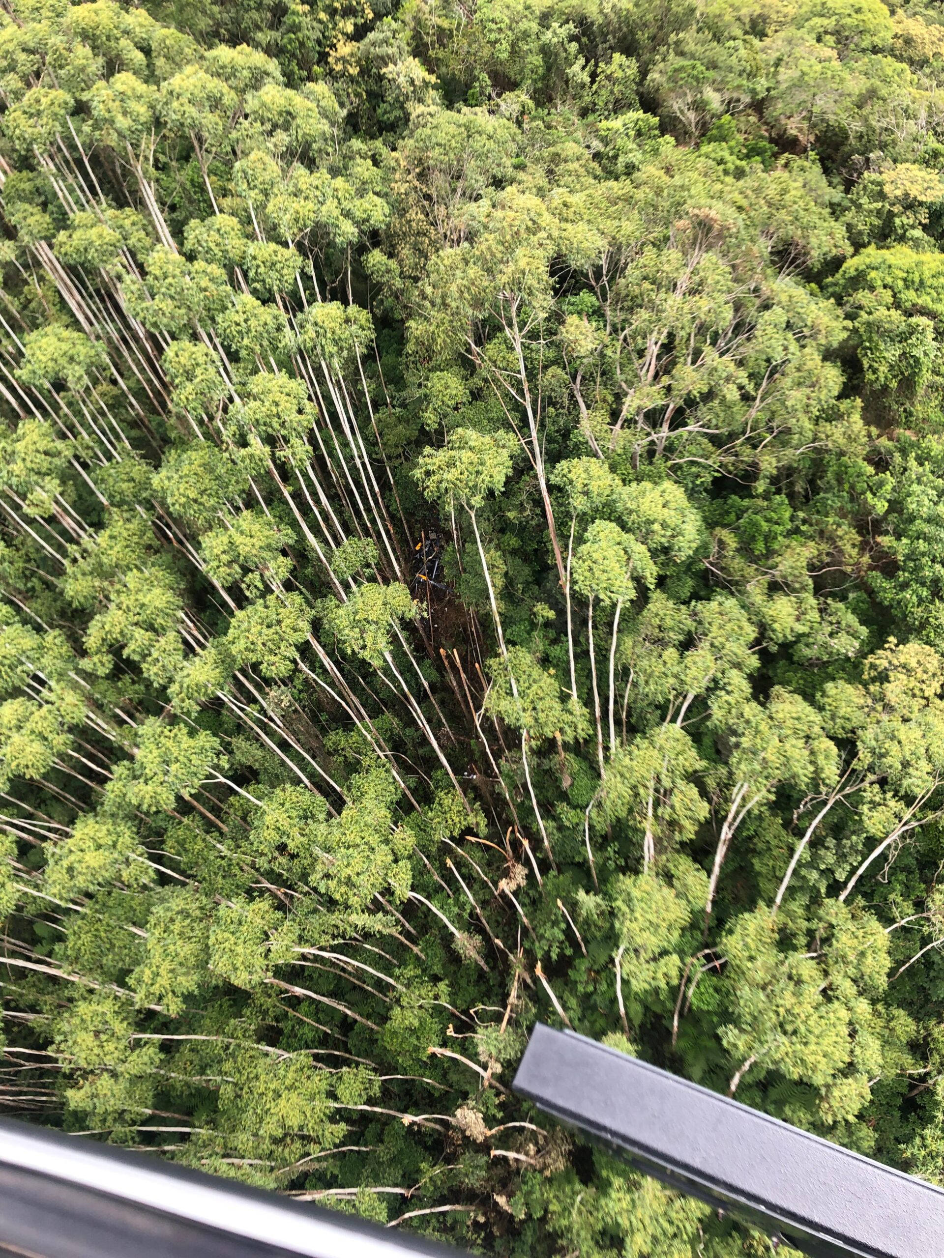 PM localiza helicóptero que desapareceu a caminho do litoral norte de SP