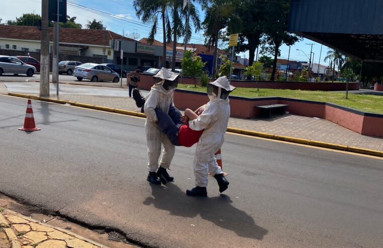 Bombeiros simulam resgate de vítima atacada por abelhas