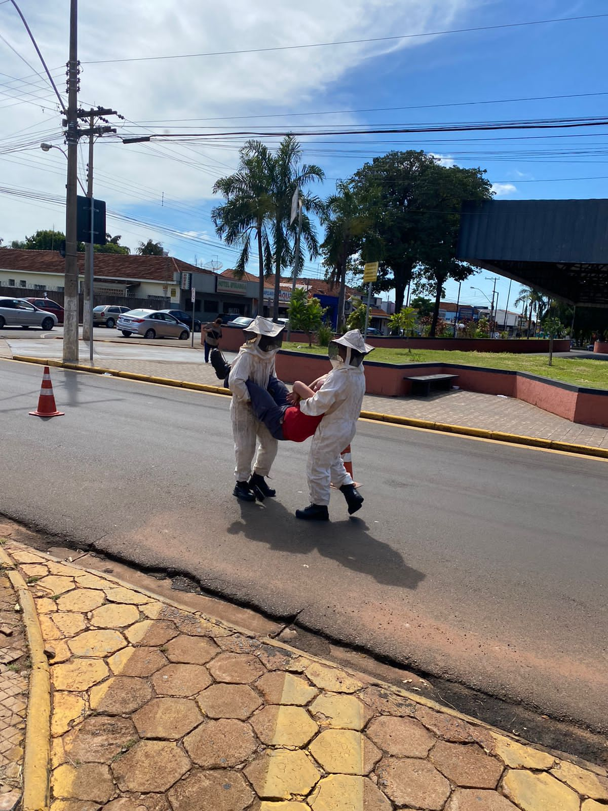 Bombeiros simulam resgate de vítima atacada por abelhas