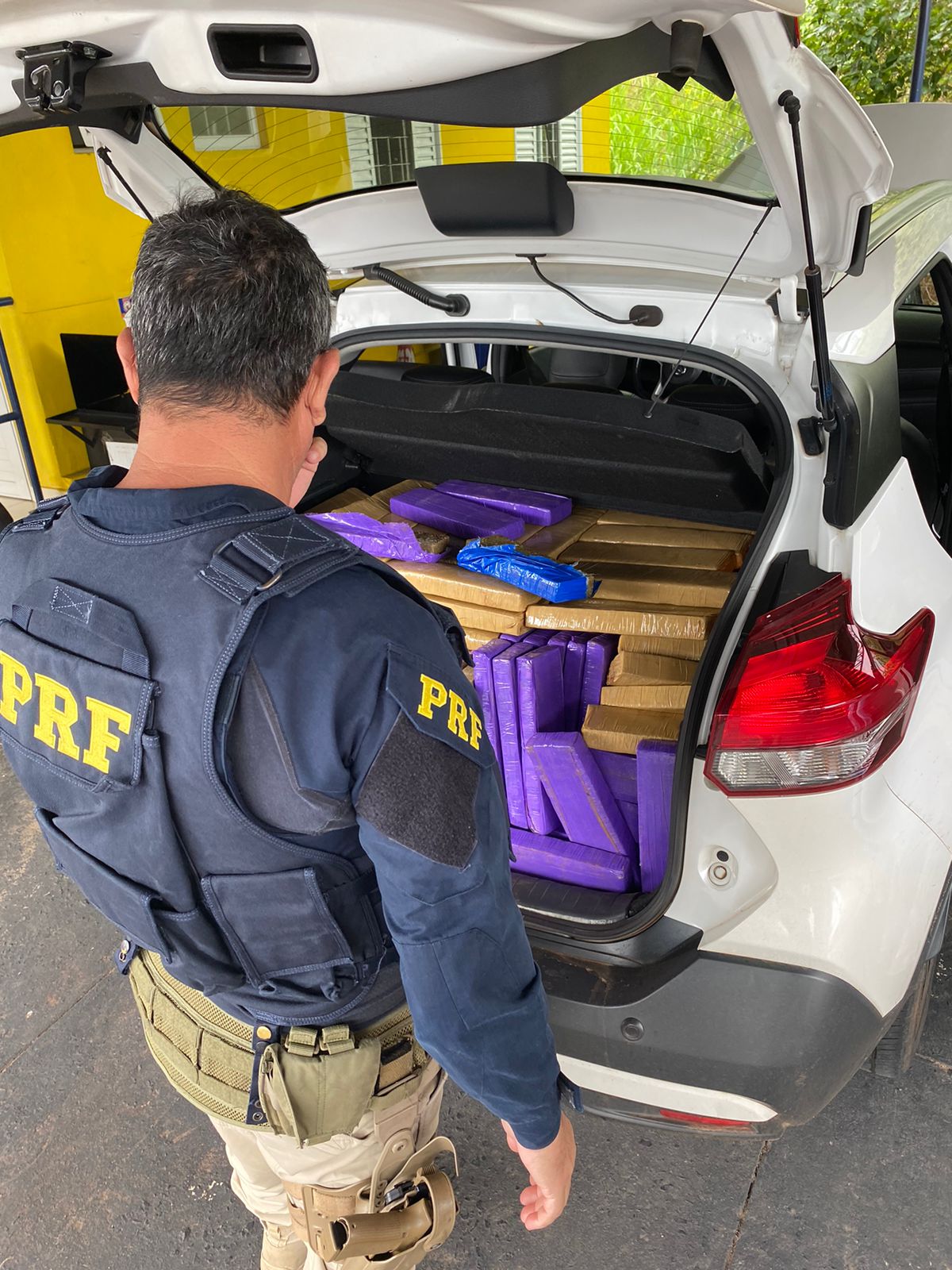 PRF e DISE de Marília Apreendem Cerca de 300 kg de Maconha em Operação Conjunta