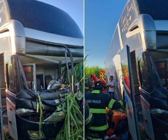 Acidente envolvendo ônibus e caminhão deixa feridos em Luiz Antônio