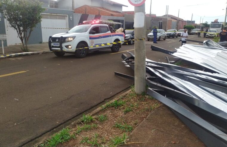 Vendaval provoca queda de poste, barracão e árvores em Barretos